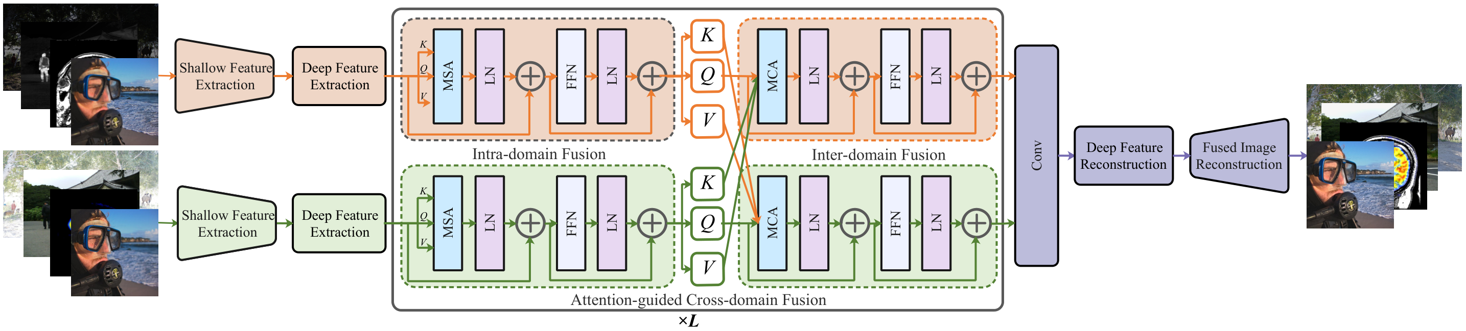 swinfusion